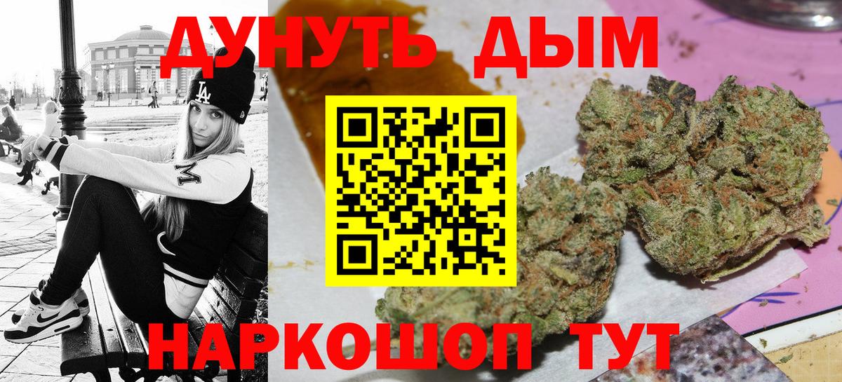 Каннабис план  Канабис ГИДРОПОН  Конопля AK-47  Новодвинск  Вход с VPN 